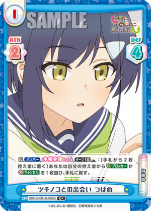 SKNK-001B-088闪卡.png
