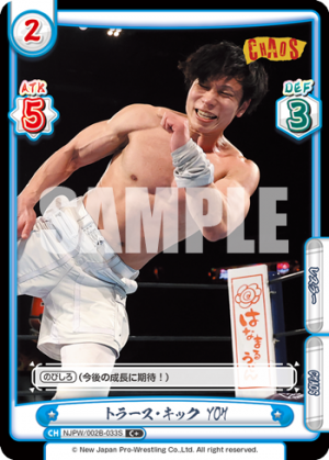 NJPW-002B-033闪卡.png