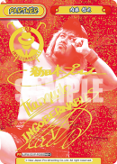 NJPW-001P-P008闪卡.png