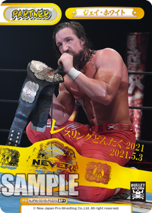 NJPW-001B-P022闪卡.png