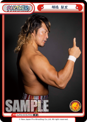 NJPW-001B-P032.png