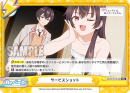 RSDR-001B-096.png