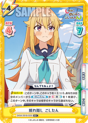 SKNK-001B-022闪卡.png