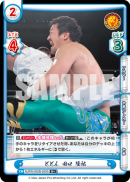 NJPW-002B-020闪卡.png