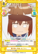 SKNK-001B-003闪卡.png