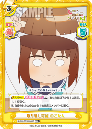 SKNK-001B-003闪卡.png