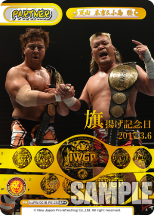 NJPW-001B-P012闪卡.png