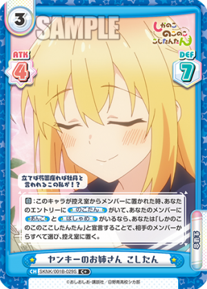 SKNK-001B-029闪卡.png