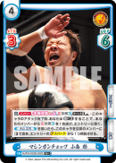 NJPW-002B-008闪卡.png