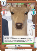 SKNK-001B-096闪卡.png