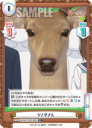 SKNK-001B-096闪卡.png