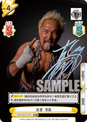 NJPW-001B-017SP+.png