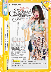 STARDOM Cinderella Journey 2022 in NAGAOKA