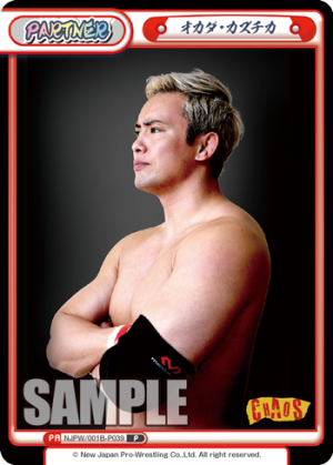 NJPW-001B-P039.png