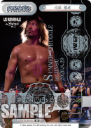 NJPW-001B-P027.png