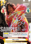 NJPW-001B-076SP+.png