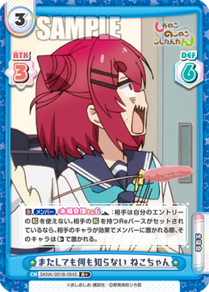 SKNK-001B-064闪卡.png