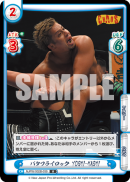 NJPW-002B-039.png