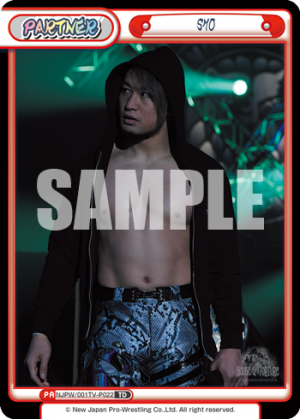 NJPW-001TV-P022.png