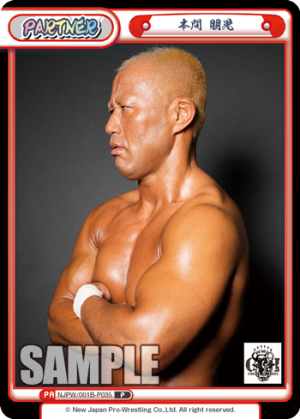 NJPW-001B-P035.png