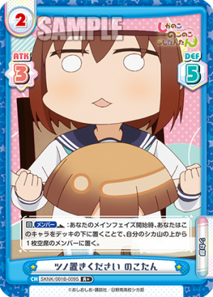 SKNK-001B-009闪卡.png