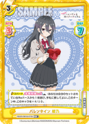 RSDR-001B-073闪卡.png