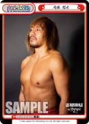 NJPW-001B-P043.png