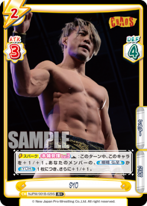 NJPW-001B-029闪卡.png