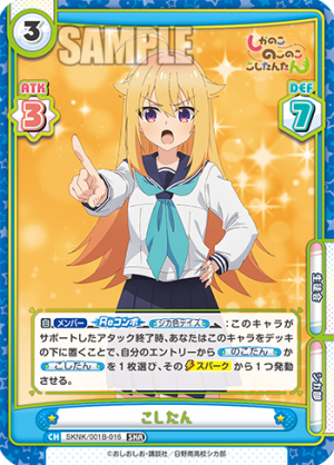 SKNK-001B-016.png