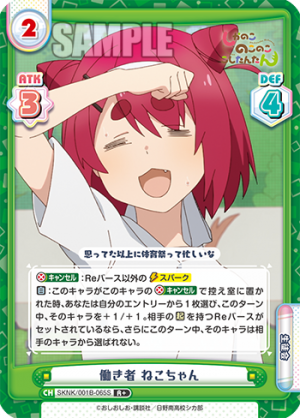 SKNK-001B-065闪卡.png