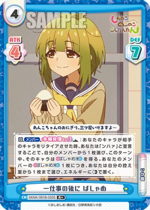 SKNK-001B-050闪卡.png