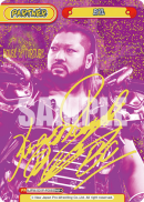 NJPW-001P-P006闪卡.png