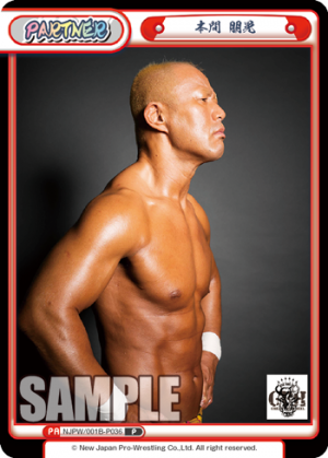 NJPW-001B-P036.png