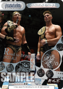 NJPW-001B-P021.png