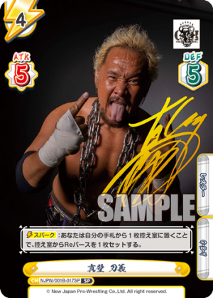 NJPW-001B-017SP.png