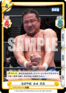 NJPW-002B-014闪卡.png