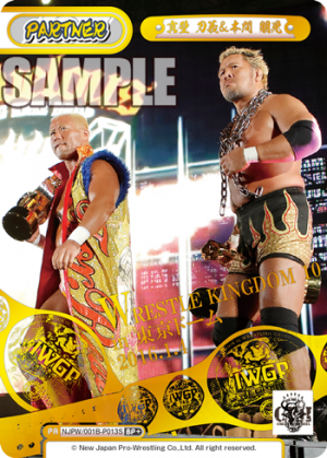 NJPW-001B-P013闪卡.png