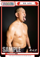 NJPW-001B-P042.png