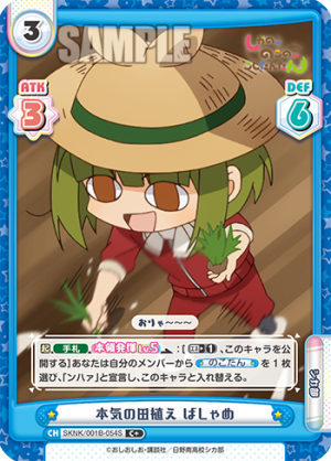 SKNK-001B-054闪卡.png