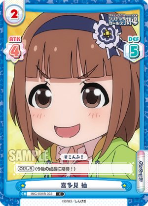 IMC-001B-023.png