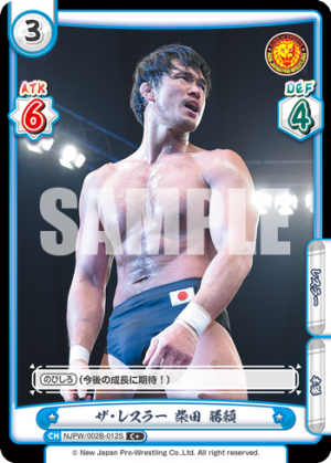 NJPW-002B-012闪卡.png