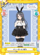 RSDR-001B-074闪卡.png