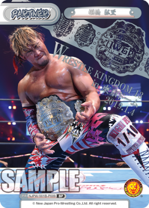 NJPW-001B-P009.png