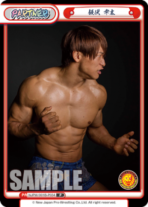 NJPW-001B-P034.png