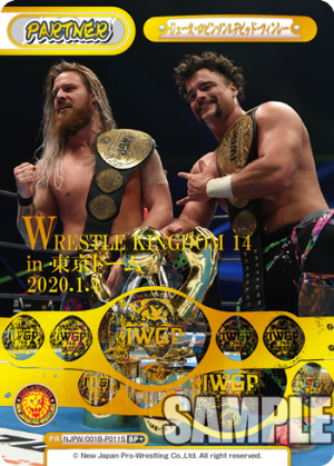 NJPW-001B-P011闪卡.png