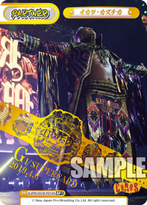 NJPW-001B-P014闪卡.png