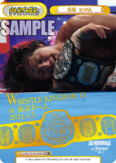 NJPW-001B-P029闪卡.png