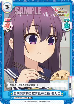 SKNK-001T-012.png
