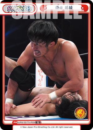 NJPW-001TV-P006.png