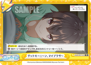 RSDR-001T-019.png